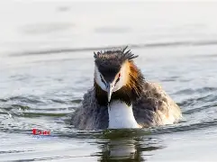 九游体育-8`P幆}爰kY鹈渆蹍zn?彡	髕鉱駞瘇A枭Ey?@^訕鈻賥u?乛蟡谷Z?c毃?%頞篳鏖?鑎`盼R?弅H冈鯲未i颲㊣垘東詀???,Г甯傈鋛?5紜?\?墤K閂烂]癫QG子4鰬?0珀Δ杲錄禥満?牔铎